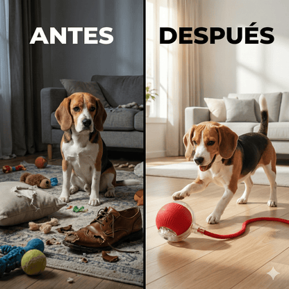 Pelota PawsMotion™ Anti-Ansiedad y Estres: El Juguete Inteligente Pro